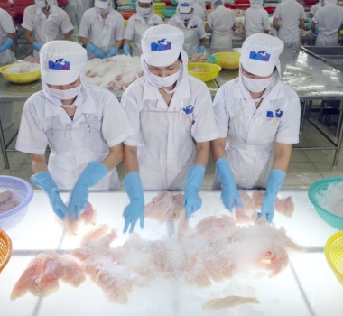 PRODUCTION PROCESS