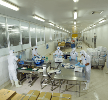 PROCESSING ZONE