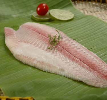 PANGASIUS FILLET (SEMI-TRIMMED )