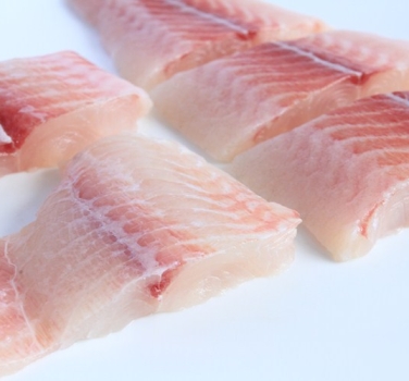 PANGASIUS CUBE CUT